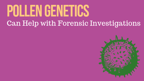 Pollen Genetics Can Help with Forensics Investigations